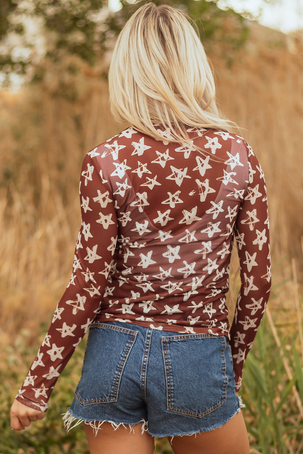 Alexandra Mesh Star Sheath Long Sleeve Top