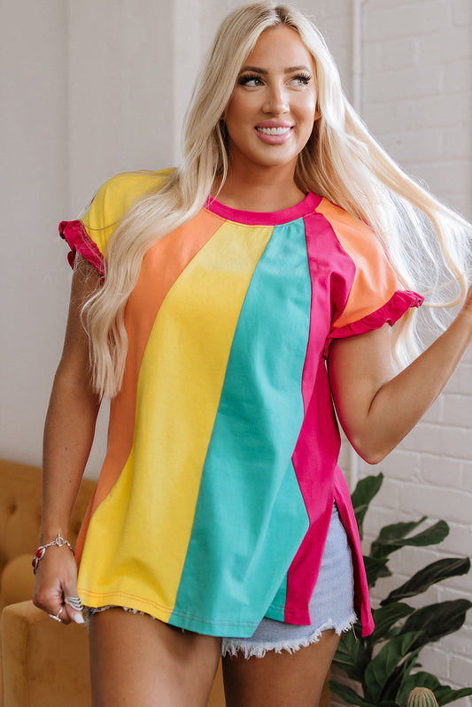 Stormi Color Block Ruffled Crew Neck Loose Fit Top